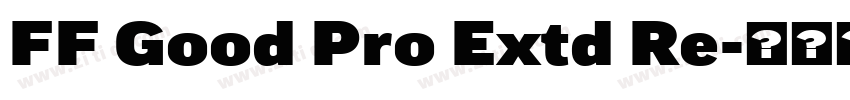 FF Good Pro Extd Re字体转换